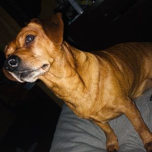 Meet your Posher, Brooke